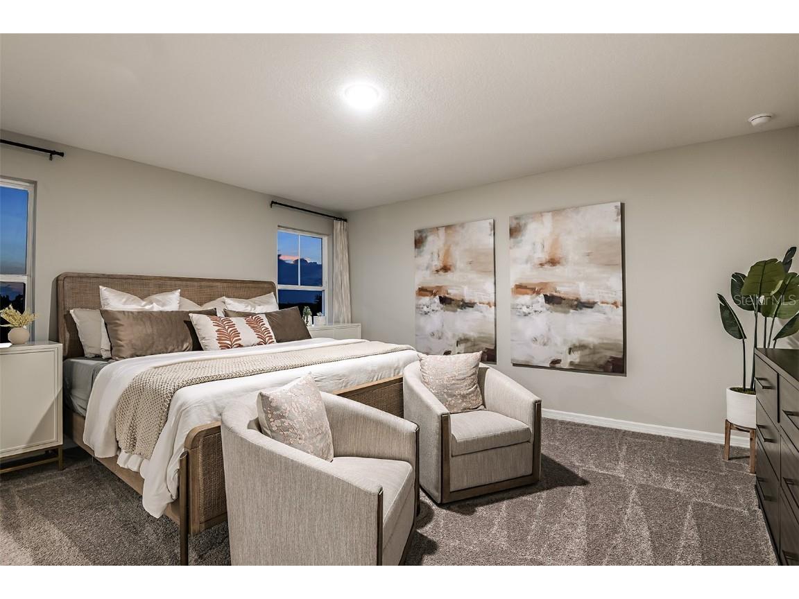 31672 Bienville Lane Wesley Chapel FL 33545 TB8445268 image15