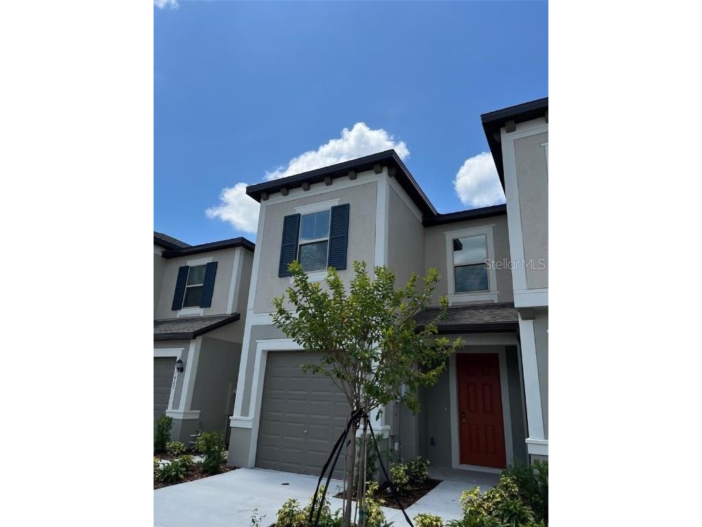 31672 Blue Passing Loop Wesley Chapel FL 33545 T3528553 image1