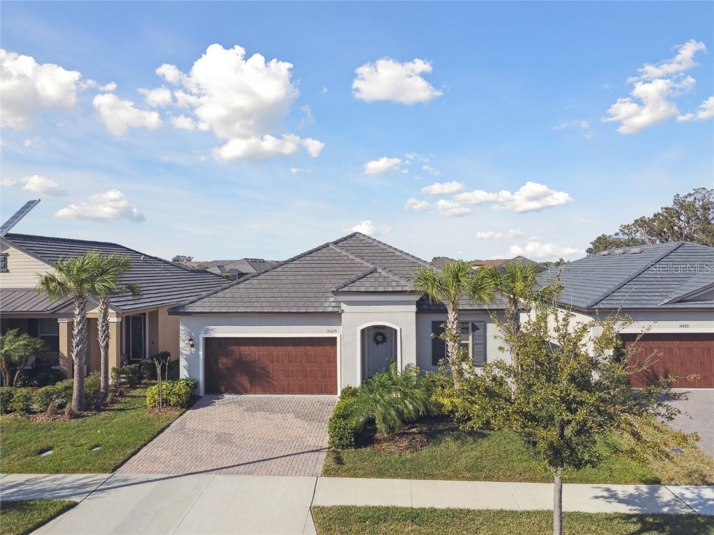 31675 Cannon Rush Drive San Antonio FL 33576 TB8348684 image1