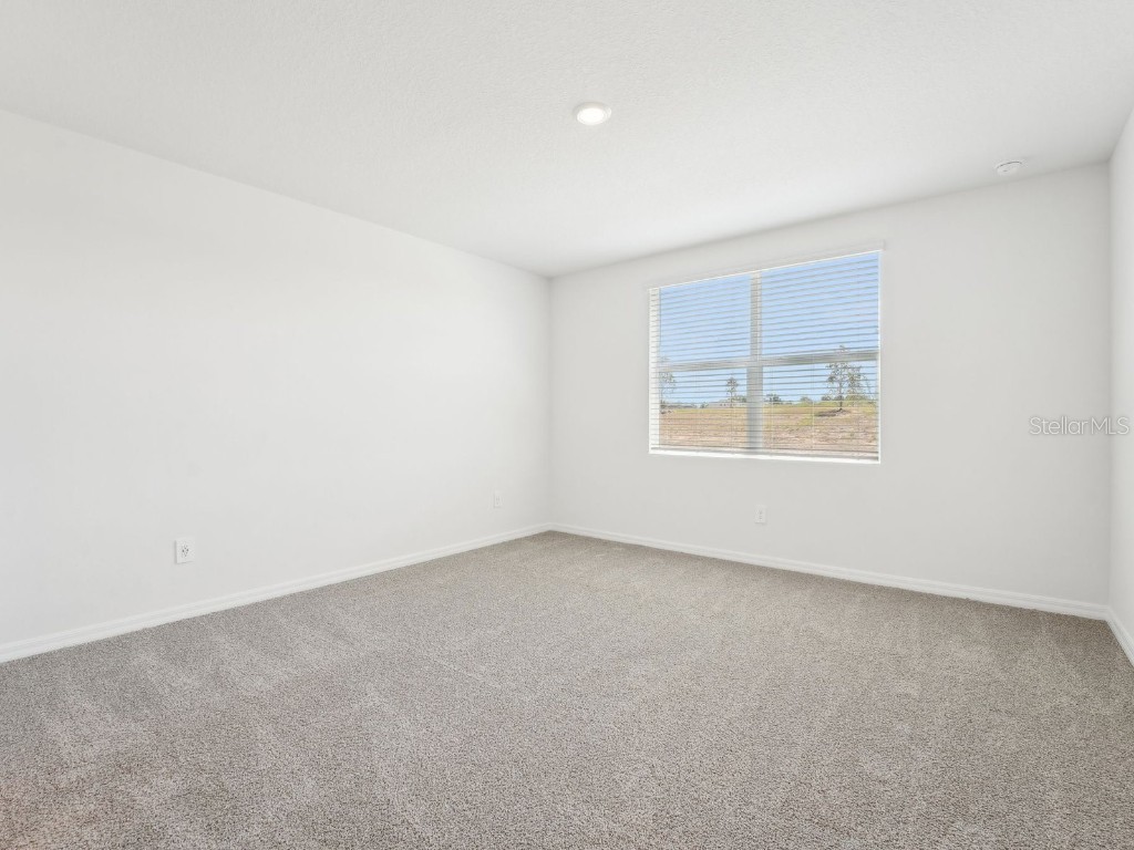 31678 Wild Grape Lane Brooksville FL 34602 O6358486 image30