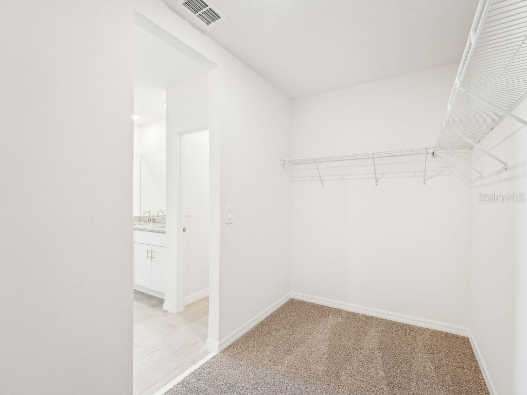 31678 Wild Grape Lane Brooksville FL 34602 O6358486 image34