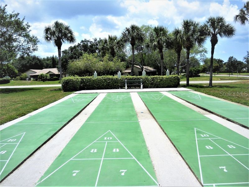 3168 E Village Drive Venice FL 34293 N6141026 image65