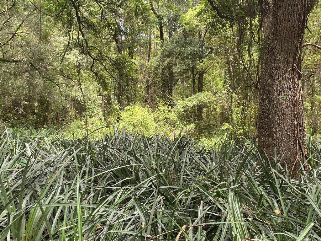 3168 Mckethan Road Dade City FL 33523 U8251378 image1