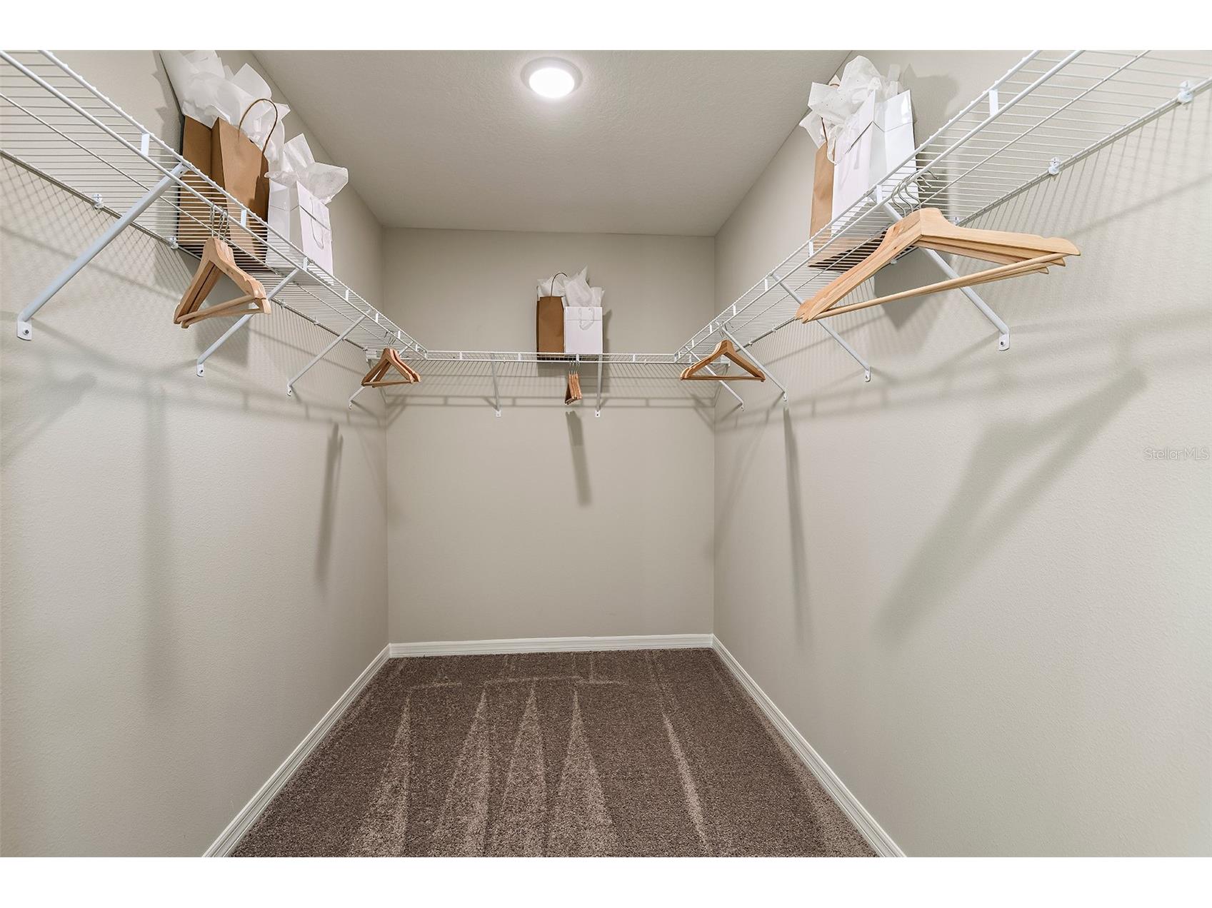 31685 Oyster Trellis Lane Wesley Chapel FL 33545 TB8520639 image9
