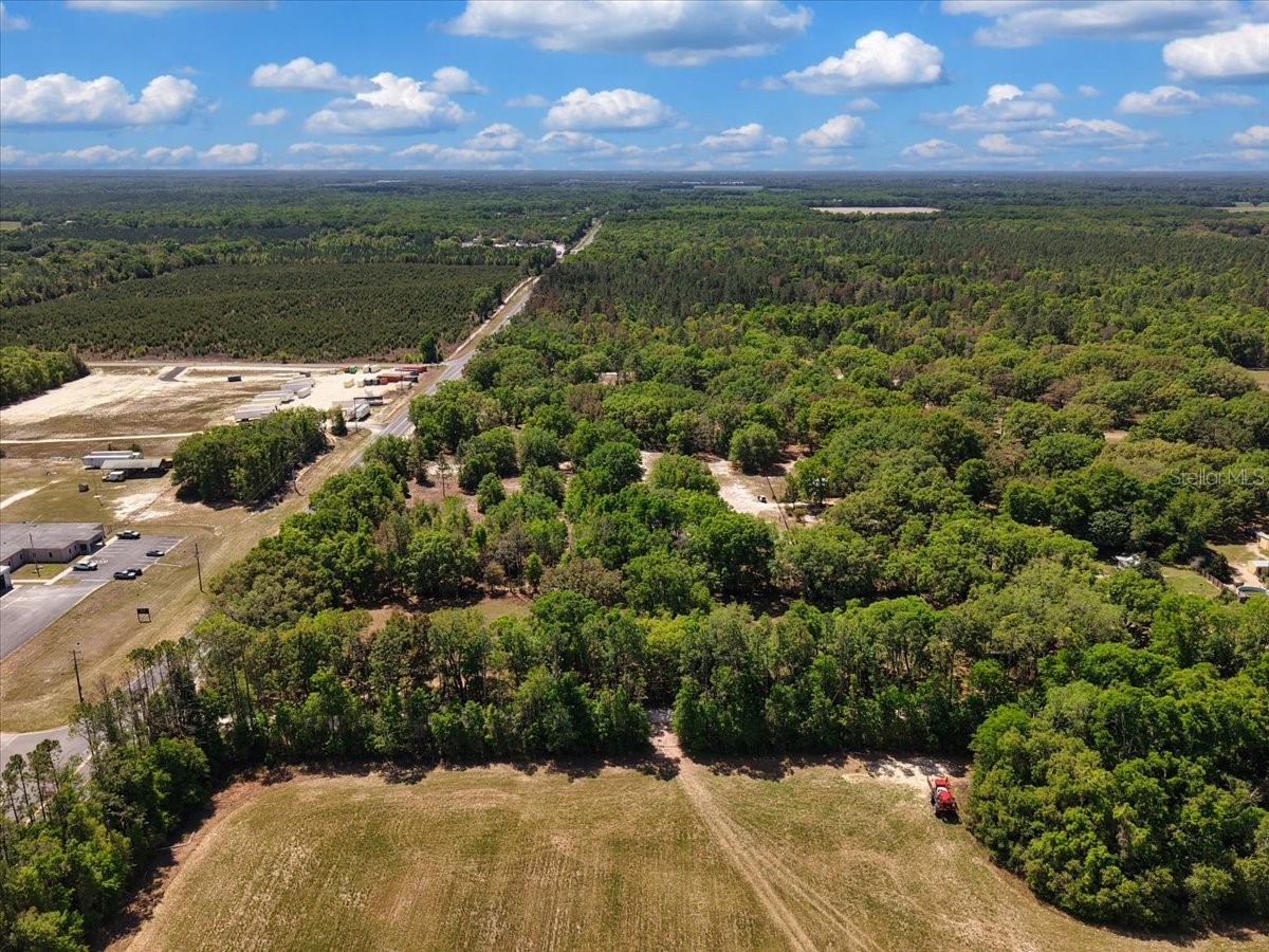 3169 N Us Highway 129 Bell FL 32619 GC539423 image32