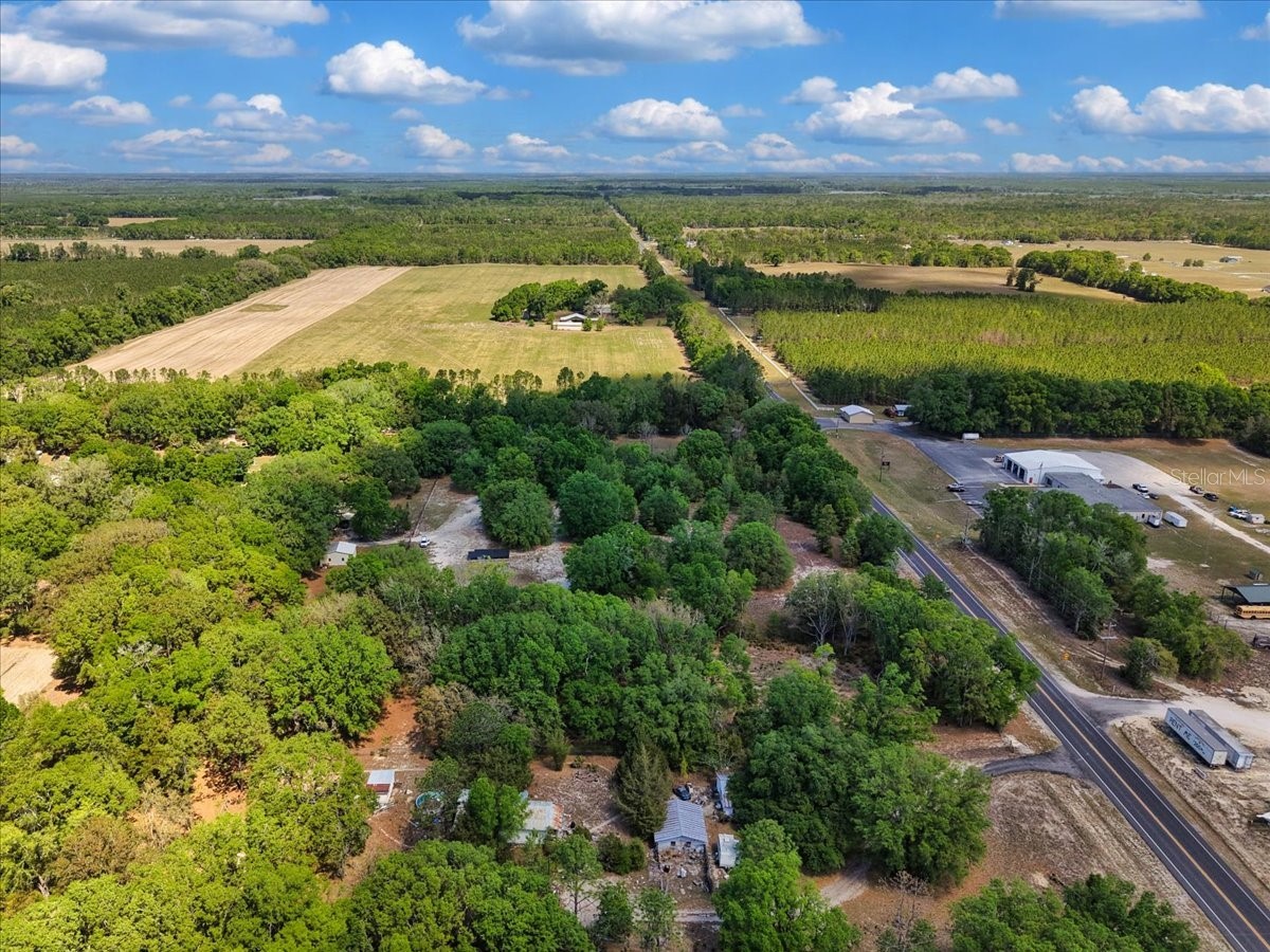 3169 N Us Highway 129 Bell FL 32619 GC539423 image36