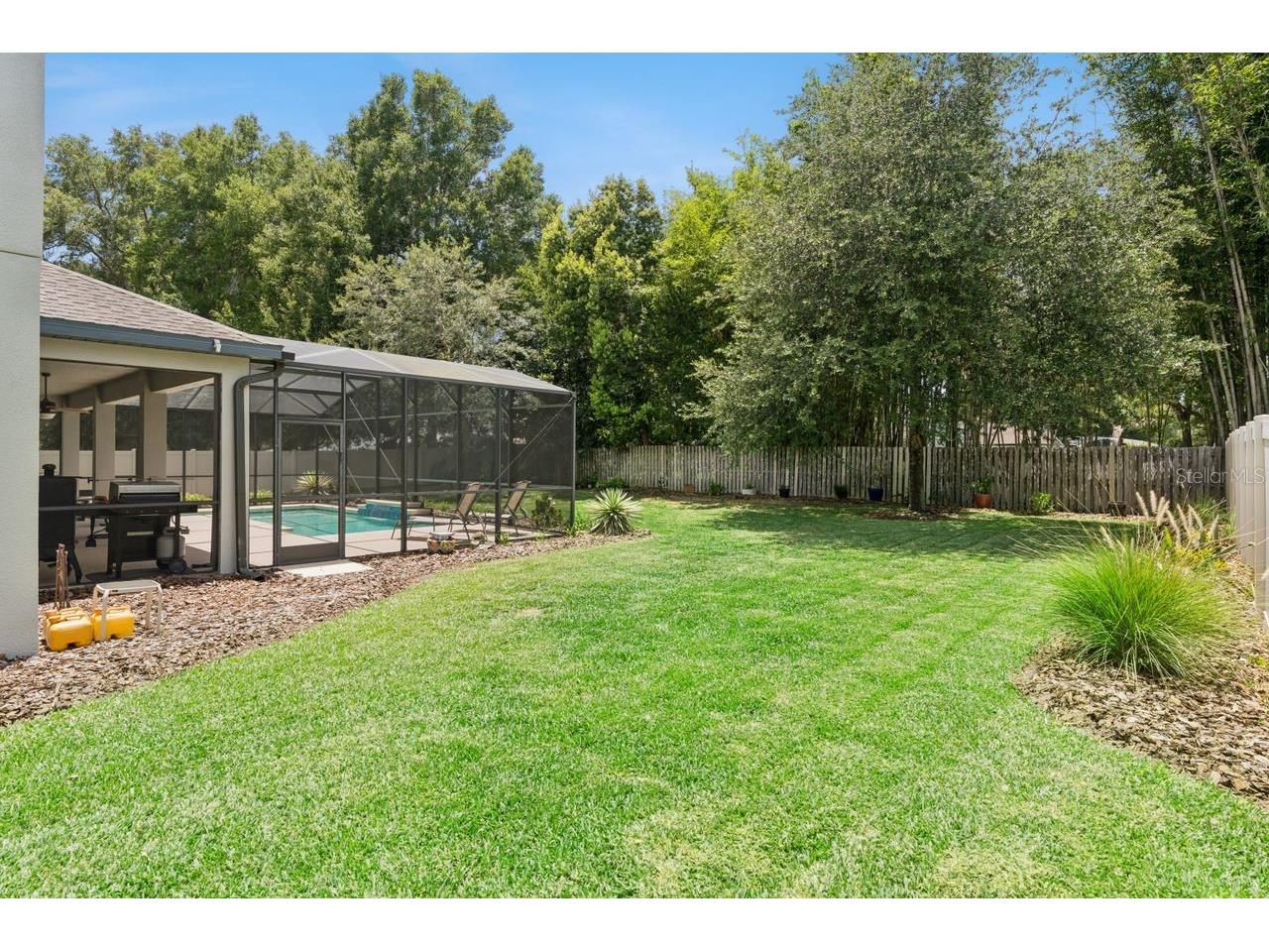 3169 Pinenut Drive Apopka FL 32712 O6424210 image38