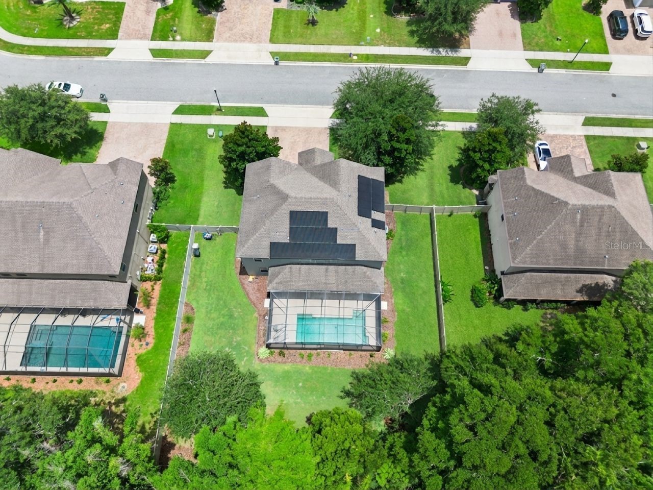 3169 Pinenut Drive Apopka FL 32712 O6424210 image40