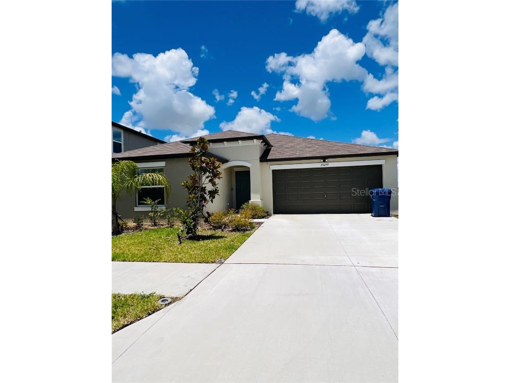 31699 Sun Kettle Loop Wesley Chapel FL 33545 T3512362 image1