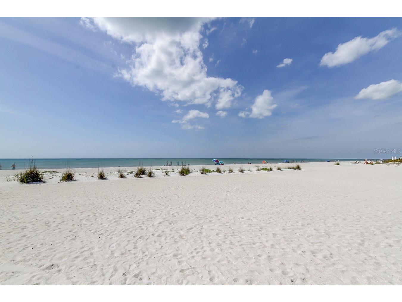 317 12th Avenue Indian Rocks Beach FL 33785 - INTRACOASTAL TB8493933 image16