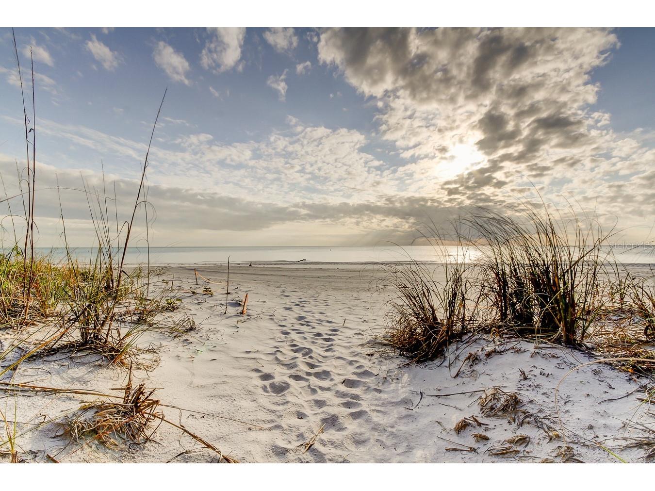 317 12th Avenue Indian Rocks Beach FL 33785 - INTRACOASTAL TB8493933 image17