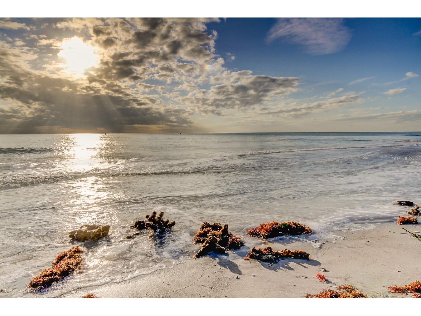 317 12th Avenue Indian Rocks Beach FL 33785 - INTRACOASTAL TB8493933 image18