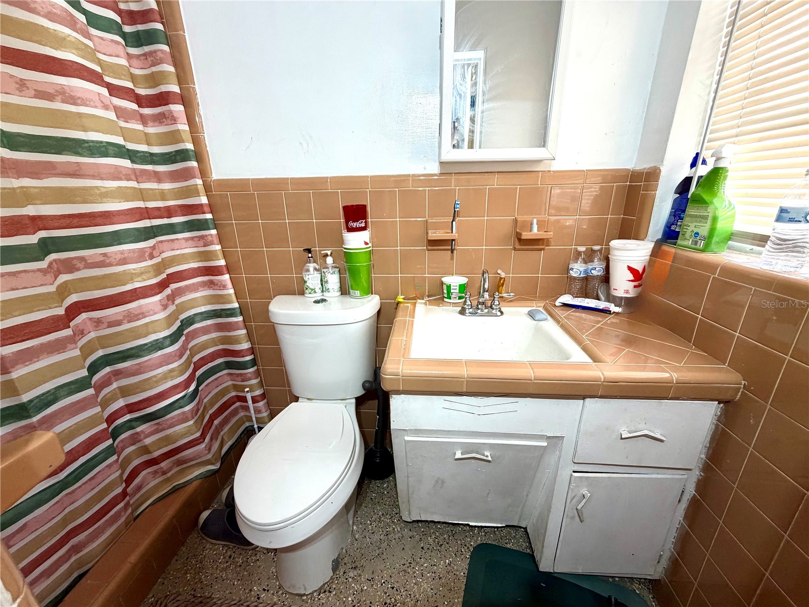 317 Avenue G SE Winter Haven FL 33880 O6406631 image14