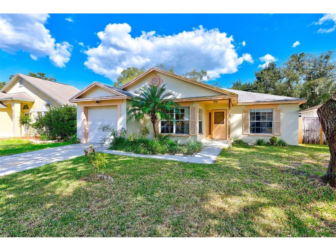 317 Benson Street Valrico FL 33594 T3483038 image1