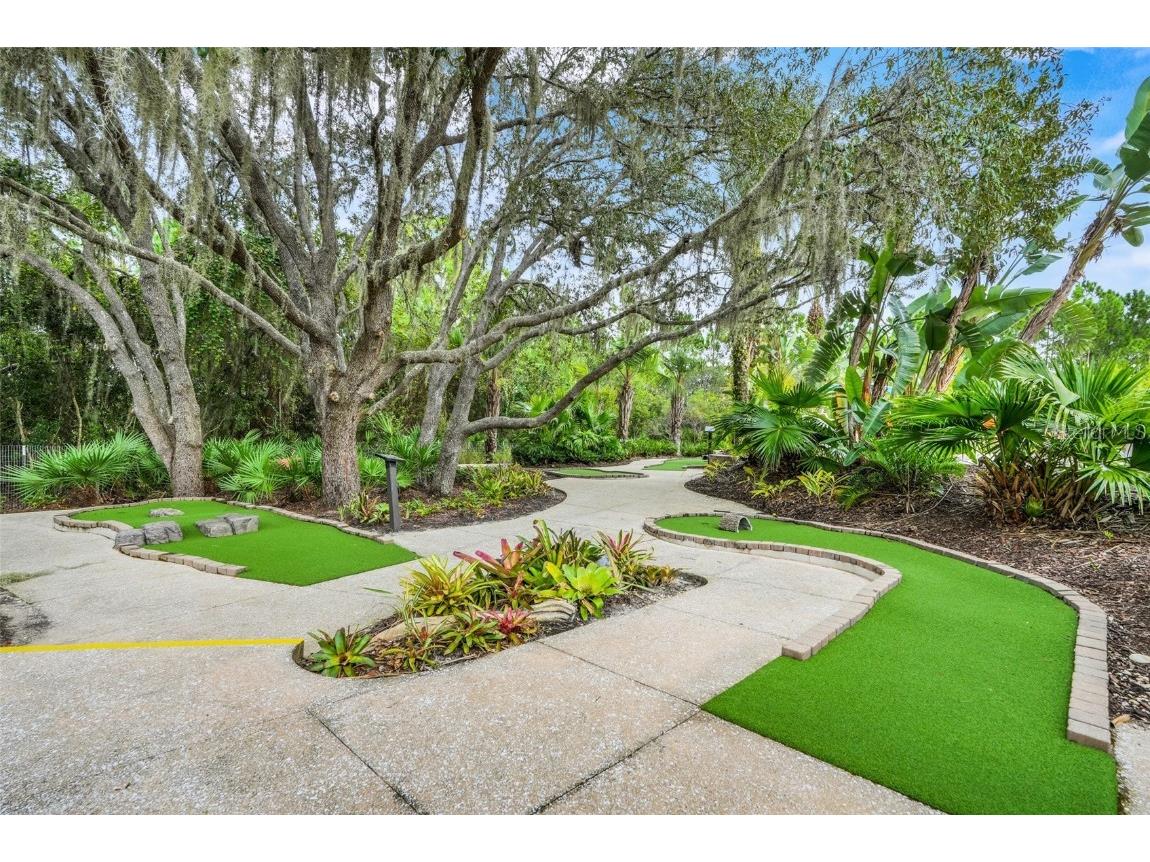 317 Captiva Drive Davenport FL 33896 O6349236 image46