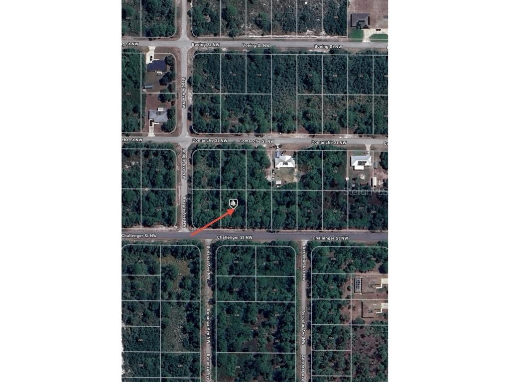 317 Challenger Street NW Lake Placid FL 33852 O6296347 image1