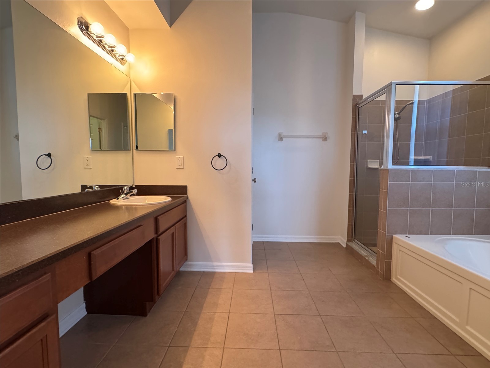 317 Down Pine Drive Seffner FL 33584 TB8524061 image20
