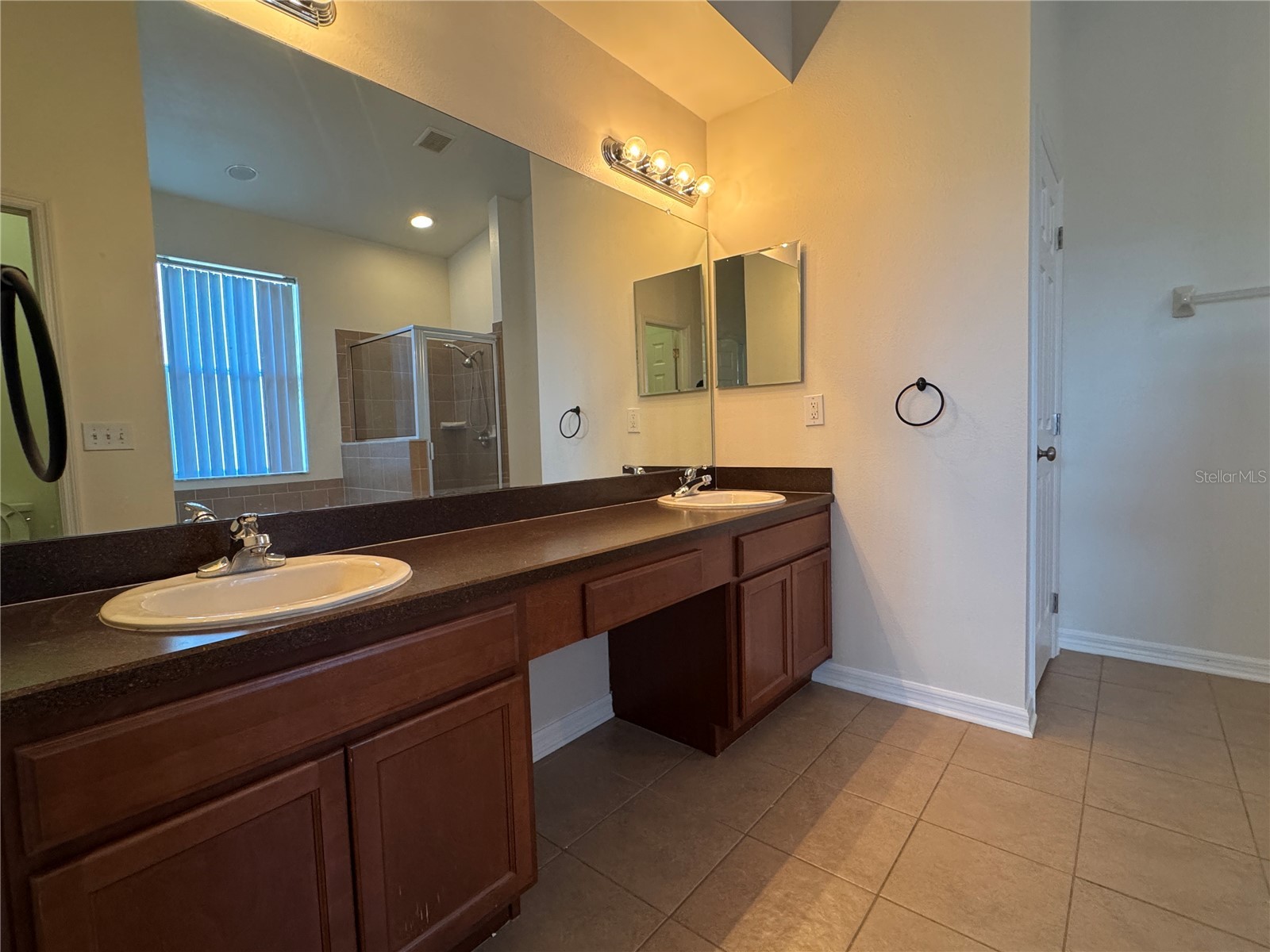 317 Down Pine Drive Seffner FL 33584 TB8524061 image21
