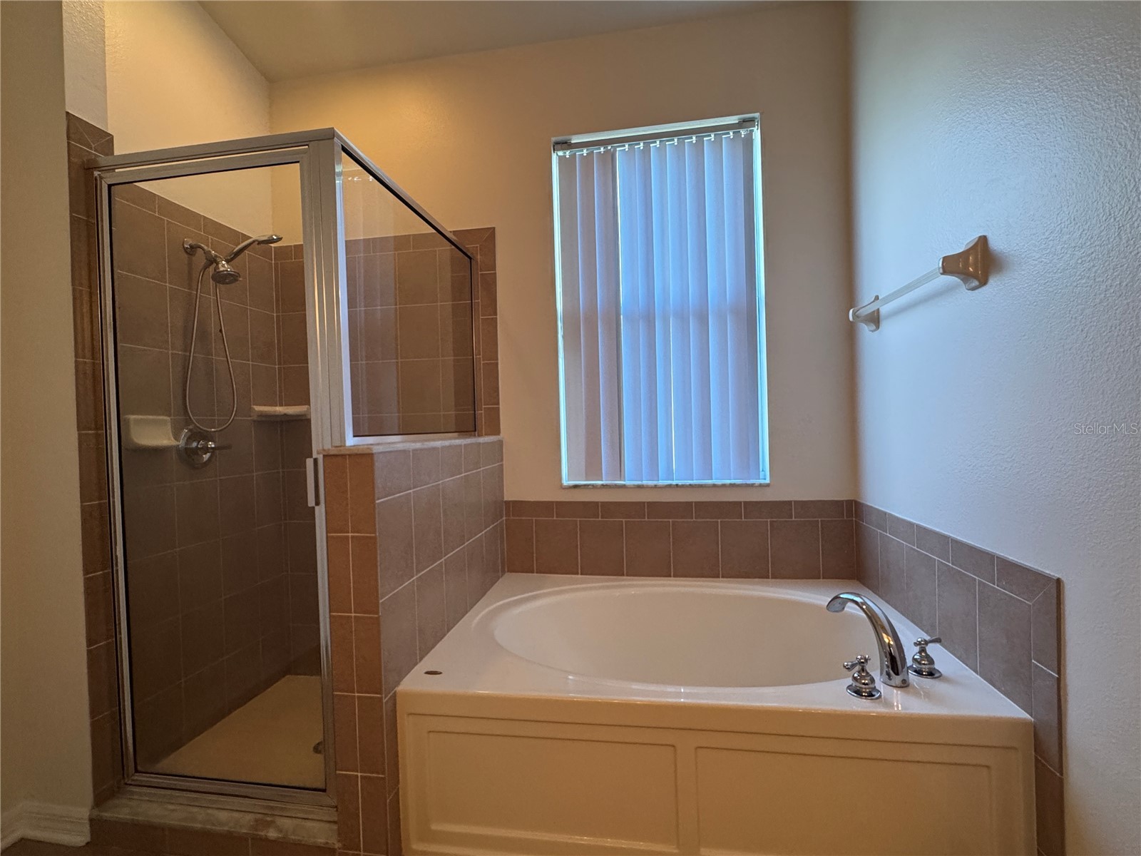 317 Down Pine Drive Seffner FL 33584 TB8524061 image22