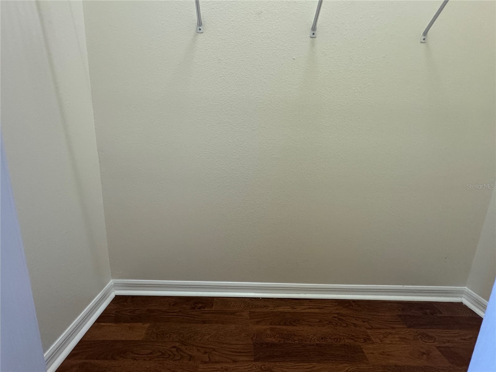 317 Down Pine Drive Seffner FL 33584 TB8524061 image34