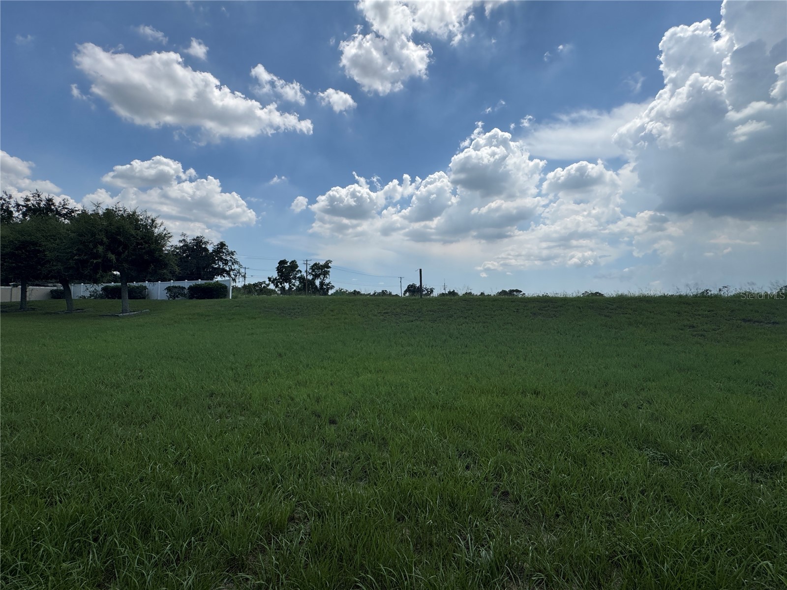 317 Down Pine Drive Seffner FL 33584 TB8524061 image4