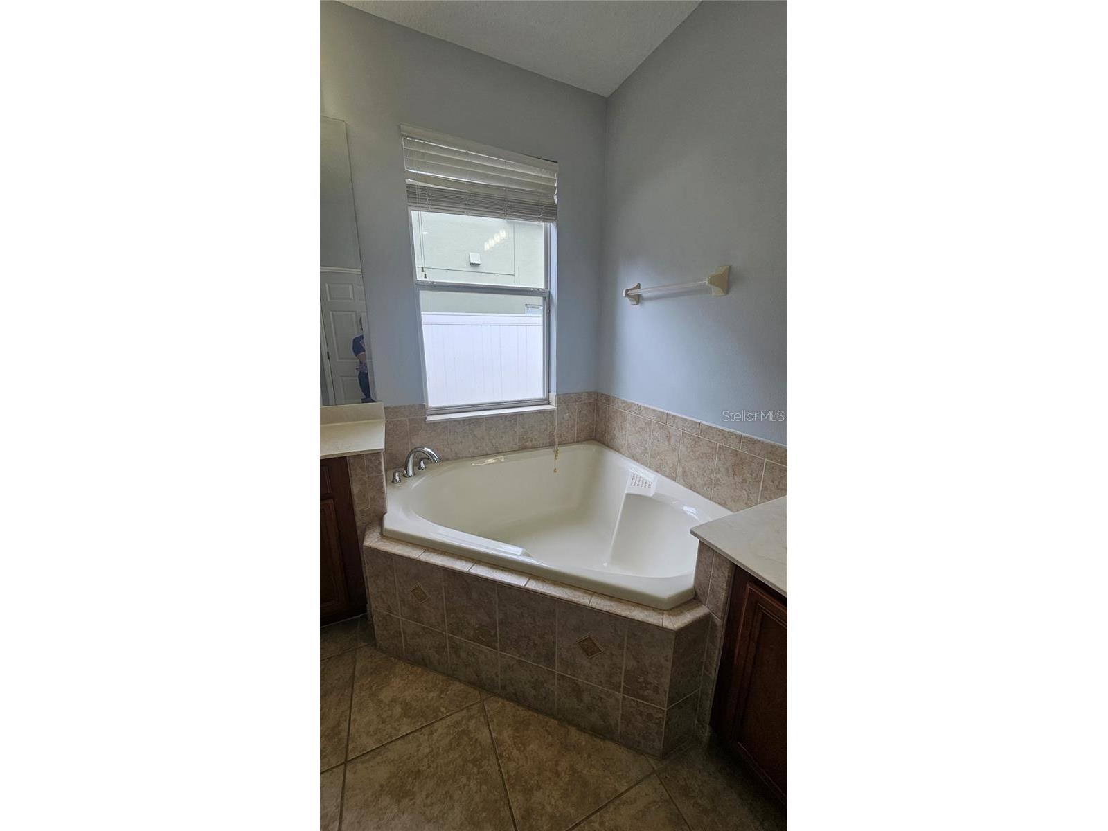 317 E Blue Water Edge Drive Eustis FL 32736 G5108279 image36