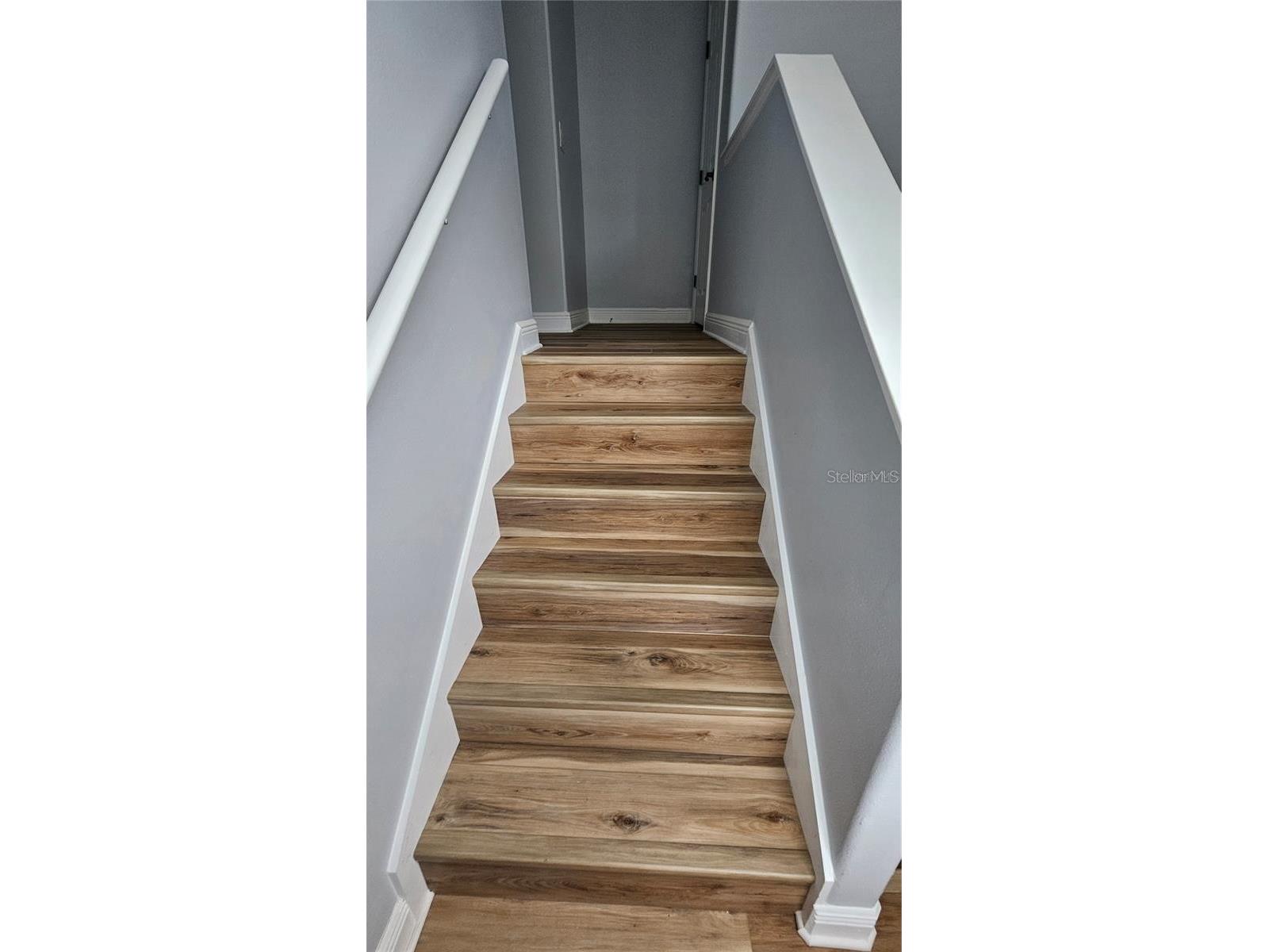 317 E Blue Water Edge Drive Eustis FL 32736 G5108279 image45