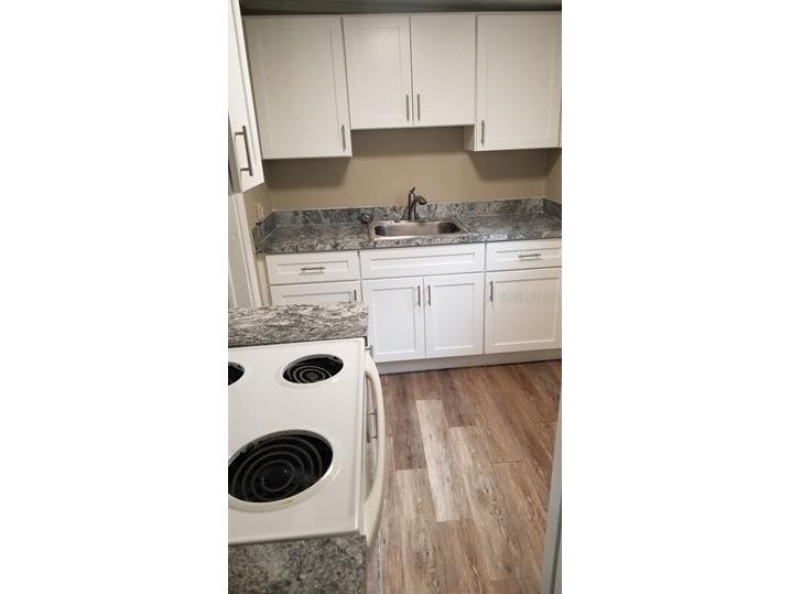 317 E Tarpon Avenue #2 Tarpon Springs FL 34689 TB8522750 image10