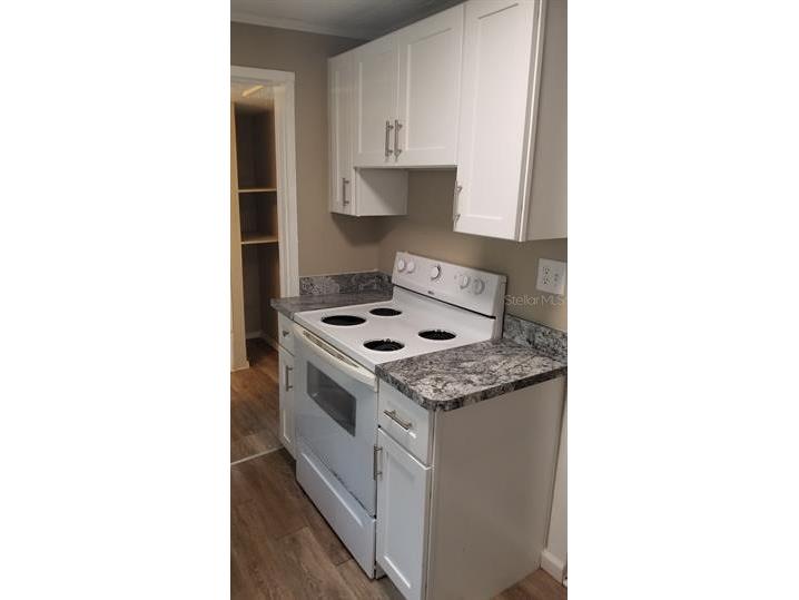 317 E Tarpon Avenue #2 Tarpon Springs FL 34689 TB8522750 image11