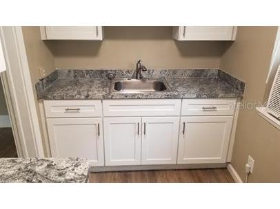 317 E Tarpon Avenue #2 Tarpon Springs FL 34689 TB8522750 image12