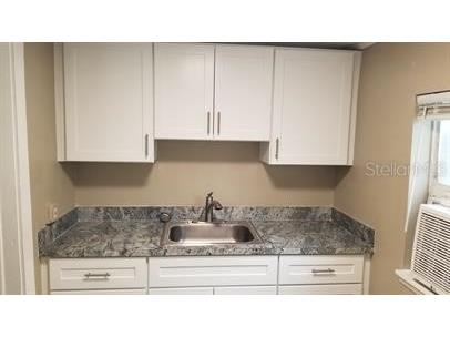 317 E Tarpon Avenue #2 Tarpon Springs FL 34689 TB8522750 image9
