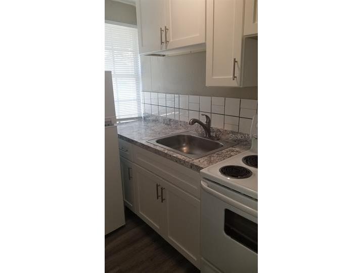 317 E Tarpon Avenue #3 Tarpon Springs FL 34689 TB8522627 image11