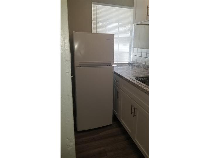 317 E Tarpon Avenue #3 Tarpon Springs FL 34689 TB8522627 image12