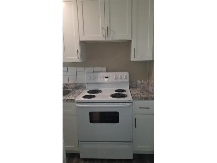 317 E Tarpon Avenue #3 Tarpon Springs FL 34689 TB8522627 image9