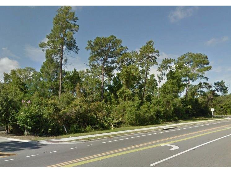 317 Fort Smith Boulevard Deltona FL 32738 V4936345 image1