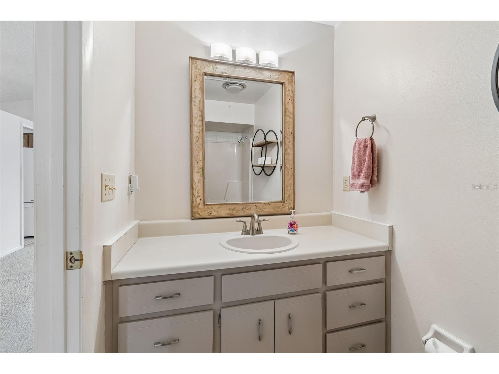 317 Greenwoods Drive Lakeland FL 33813 L4961535 image16