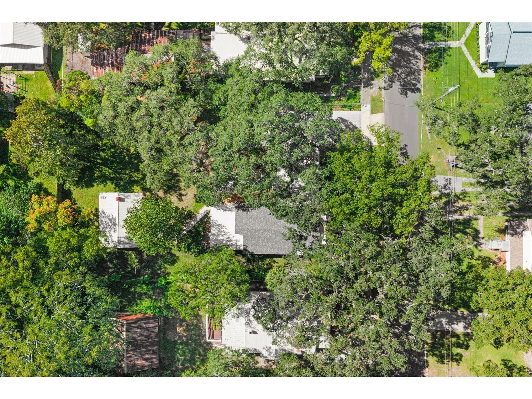 317 Highland Street Brooksville FL 34601 OM712337 image48