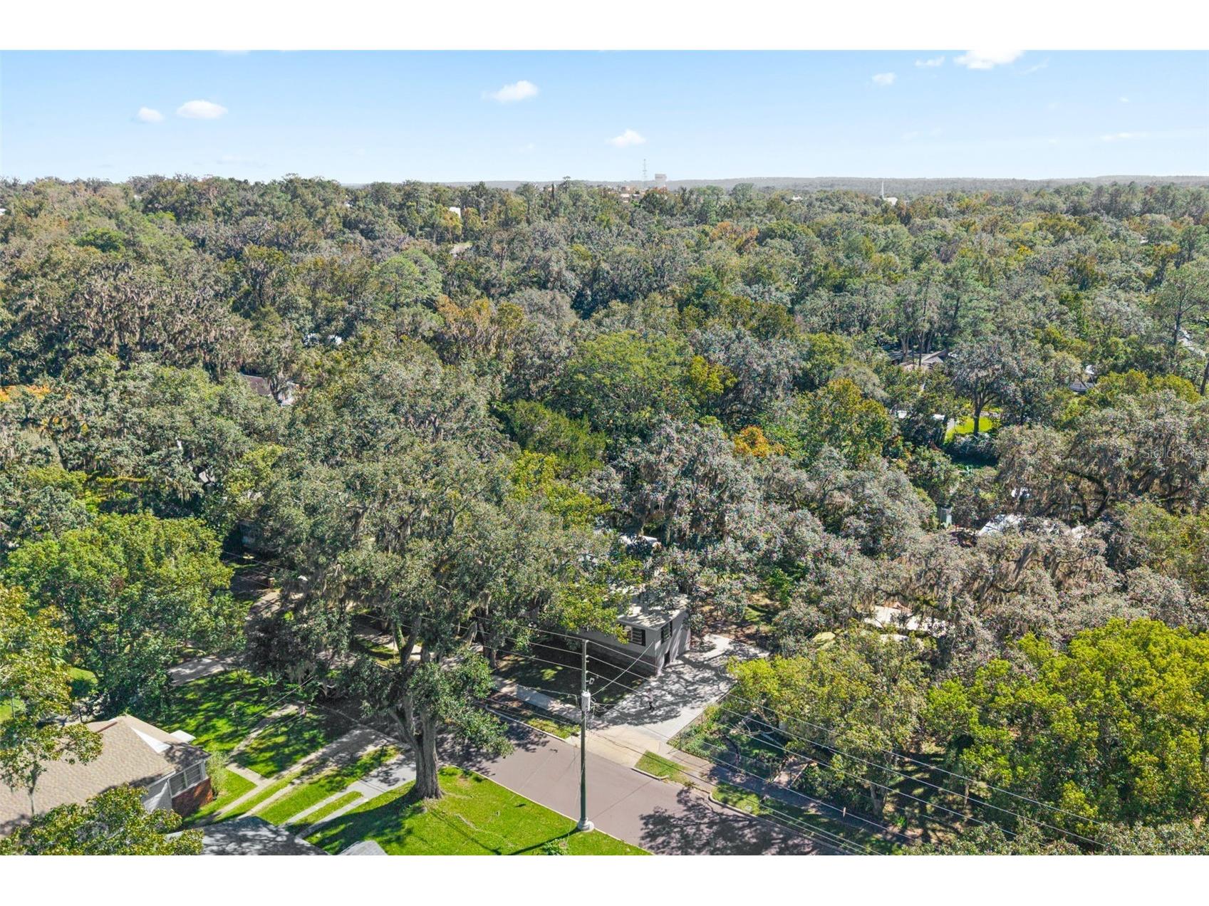317 Highland Street Brooksville FL 34601 OM712337 image49