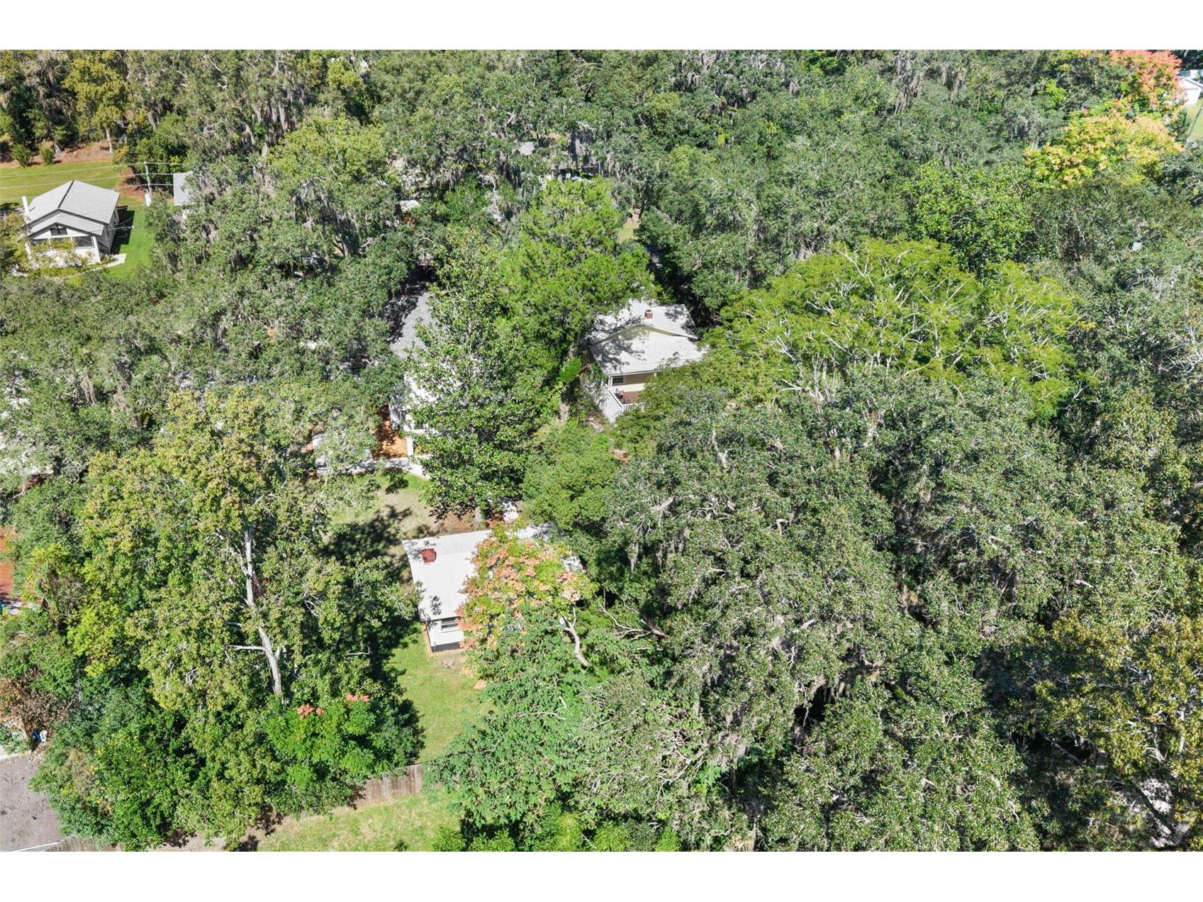 317 Highland Street Brooksville FL 34601 OM712337 image52