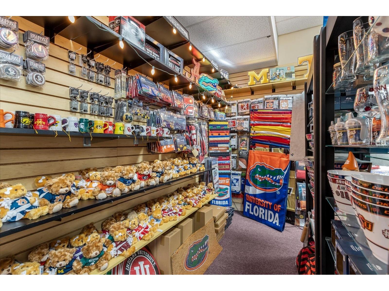 317 N Donnelly Mount Dora FL 32757 O6414493 image11