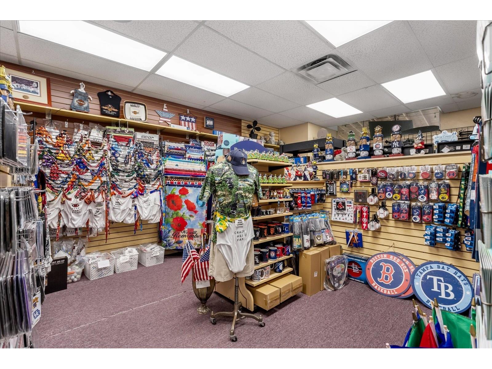 317 N Donnelly Mount Dora FL 32757 O6414493 image13