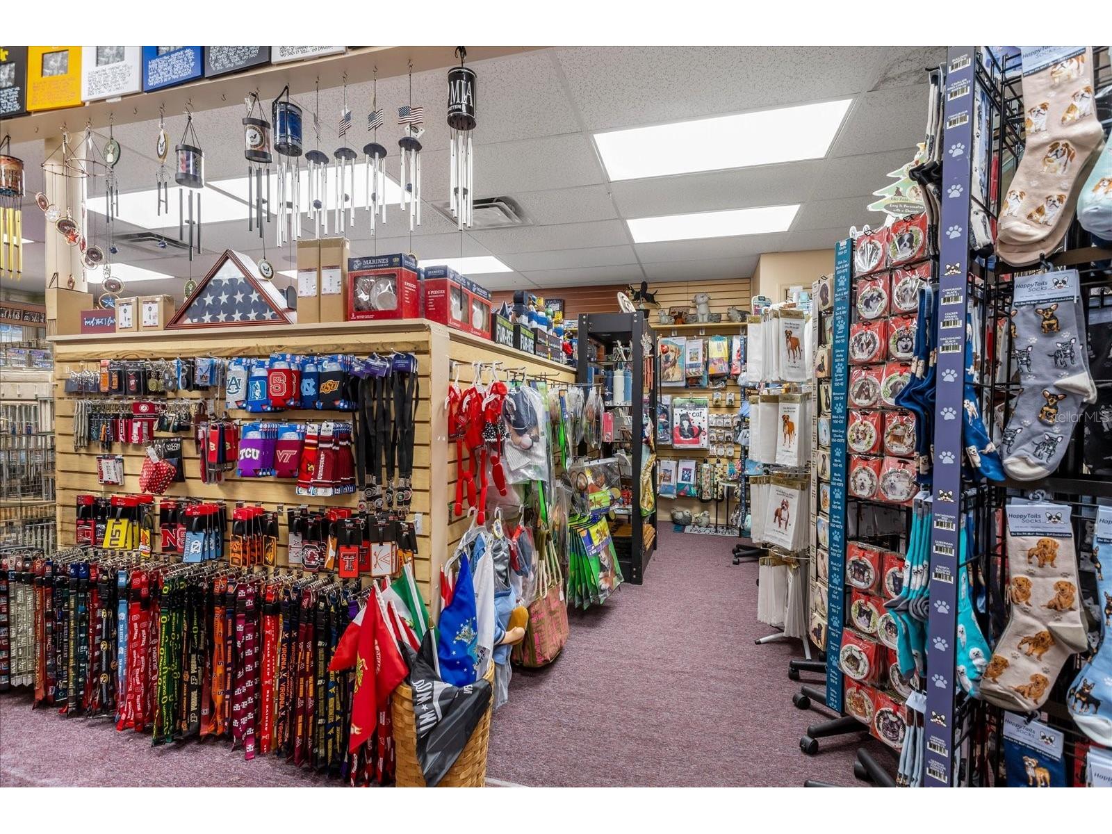 317 N Donnelly Mount Dora FL 32757 O6414493 image15