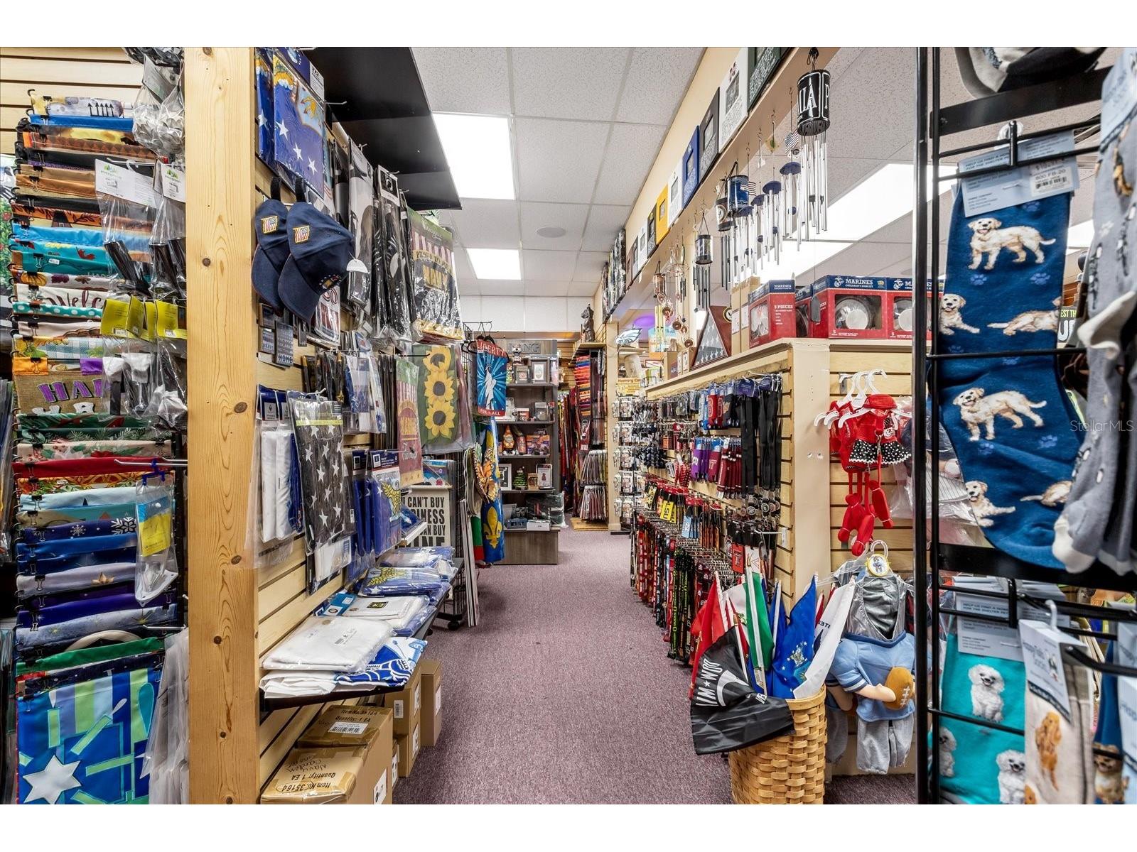 317 N Donnelly Mount Dora FL 32757 O6414493 image17