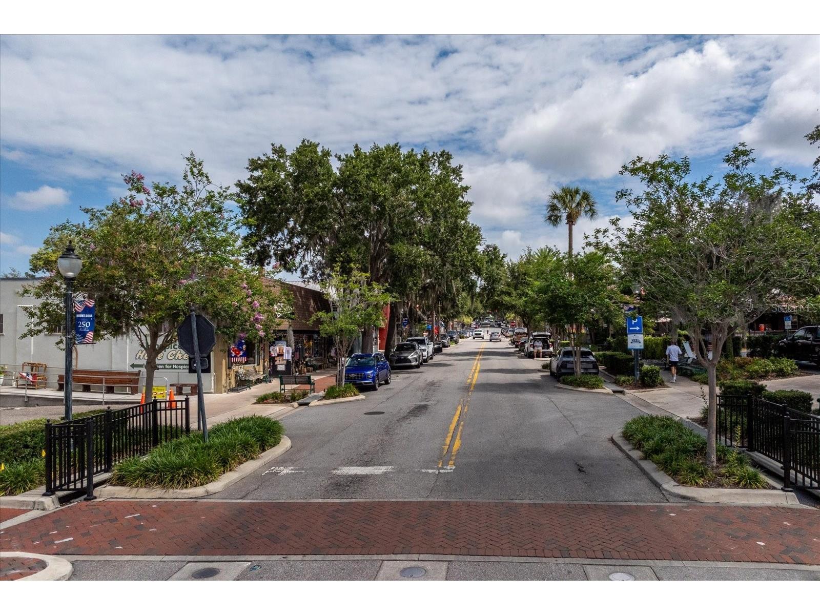 317 N Donnelly Mount Dora FL 32757 O6414493 image21