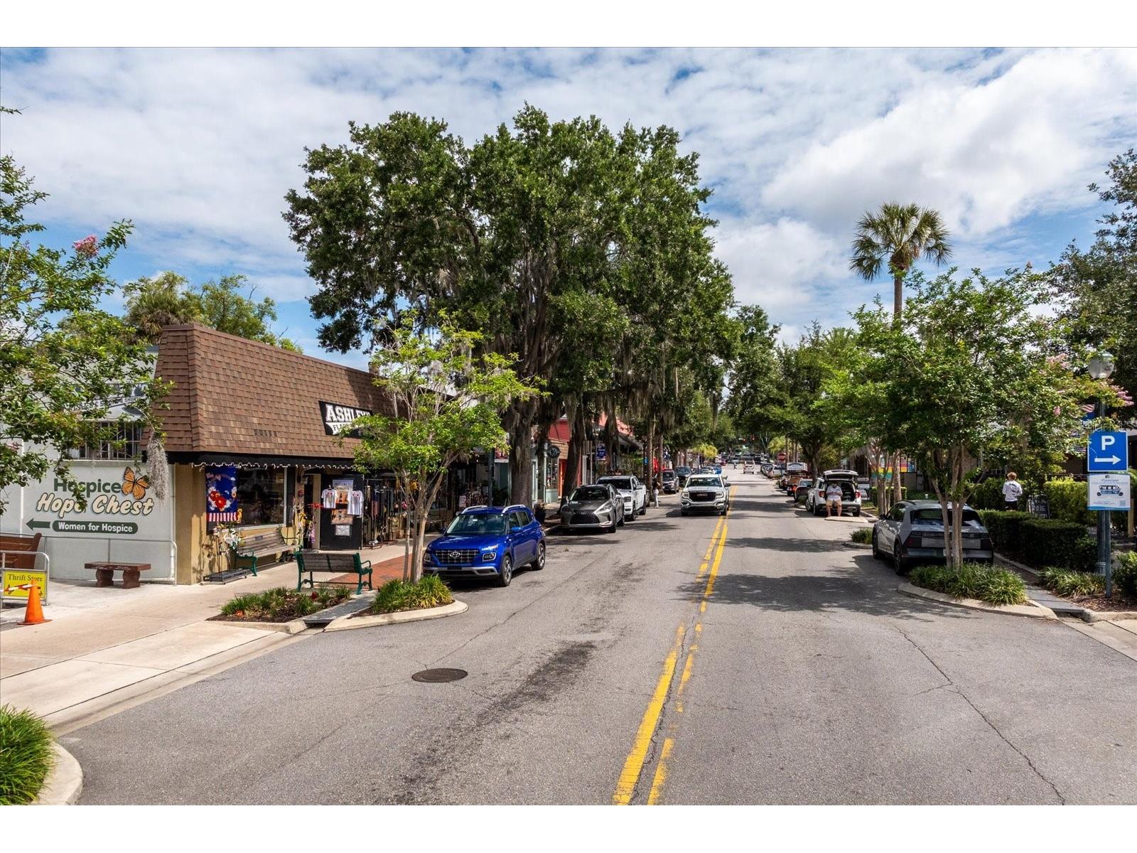 317 N Donnelly Mount Dora FL 32757 O6414493 image22