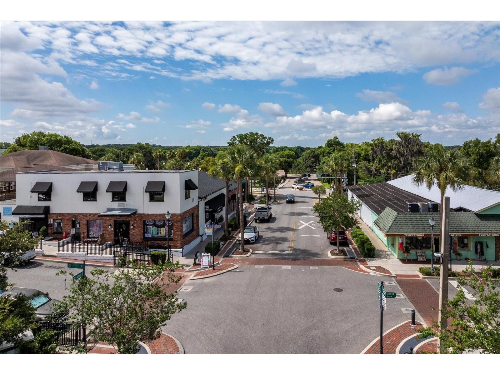 317 N Donnelly Mount Dora FL 32757 O6414493 image23