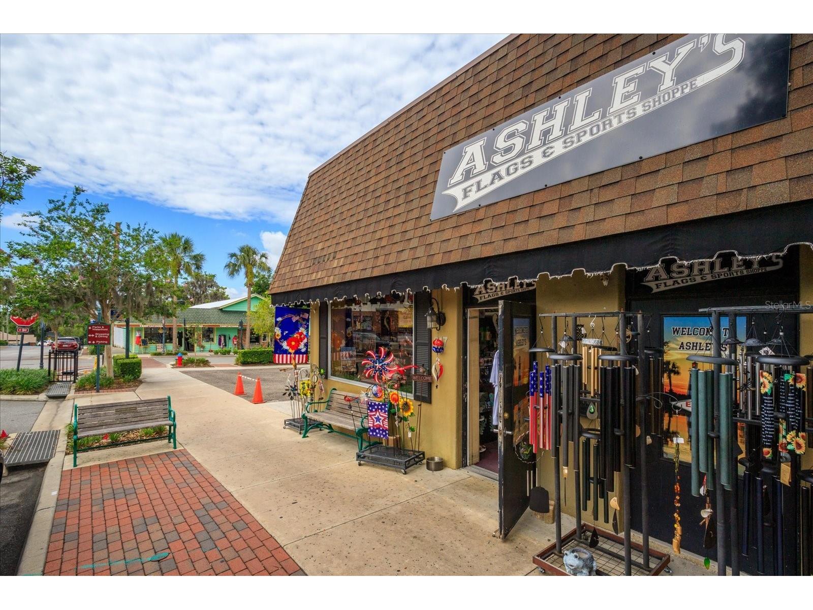 317 N Donnelly Mount Dora FL 32757 O6414493 image24