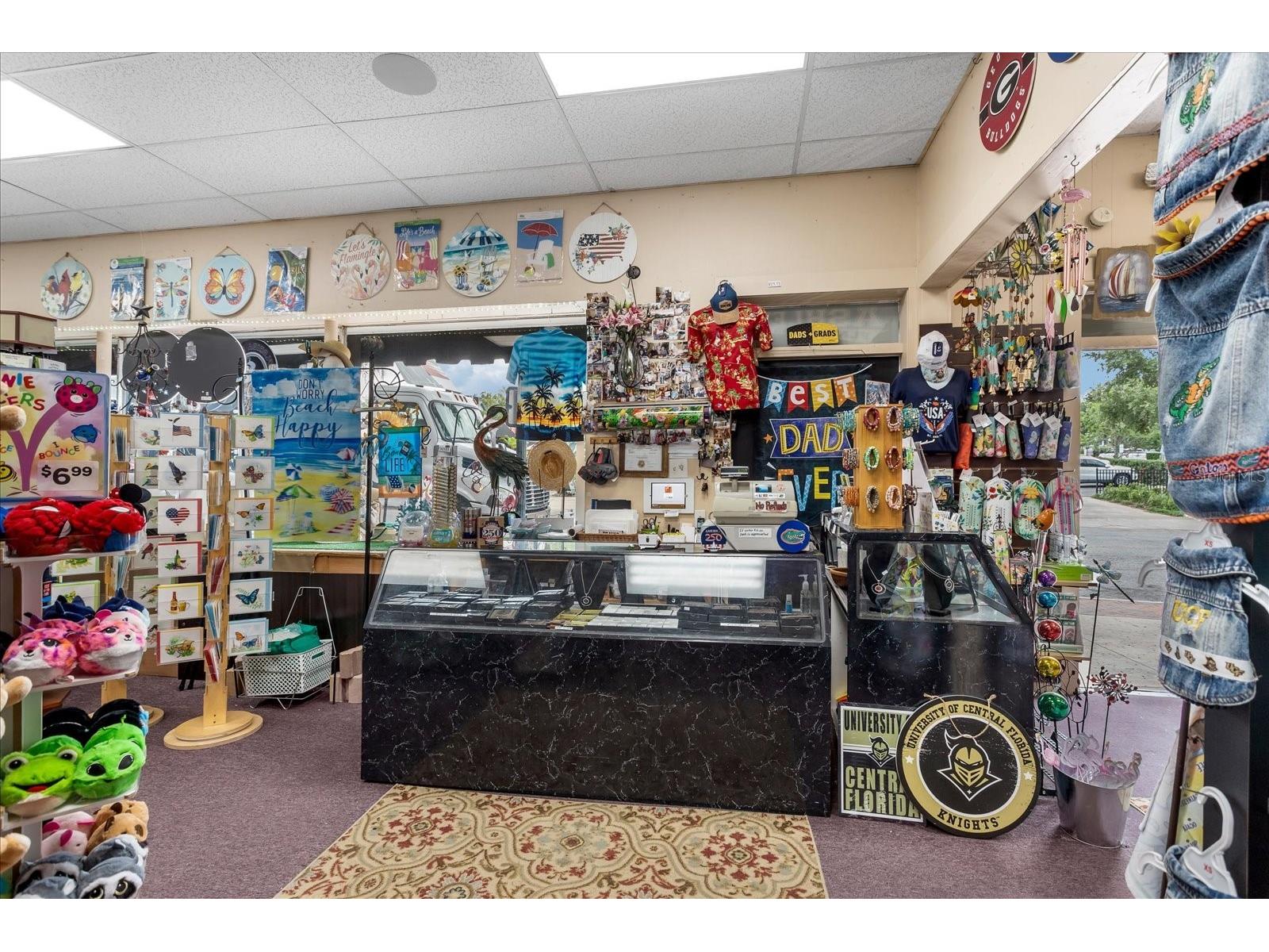317 N Donnelly Mount Dora FL 32757 O6414493 image3