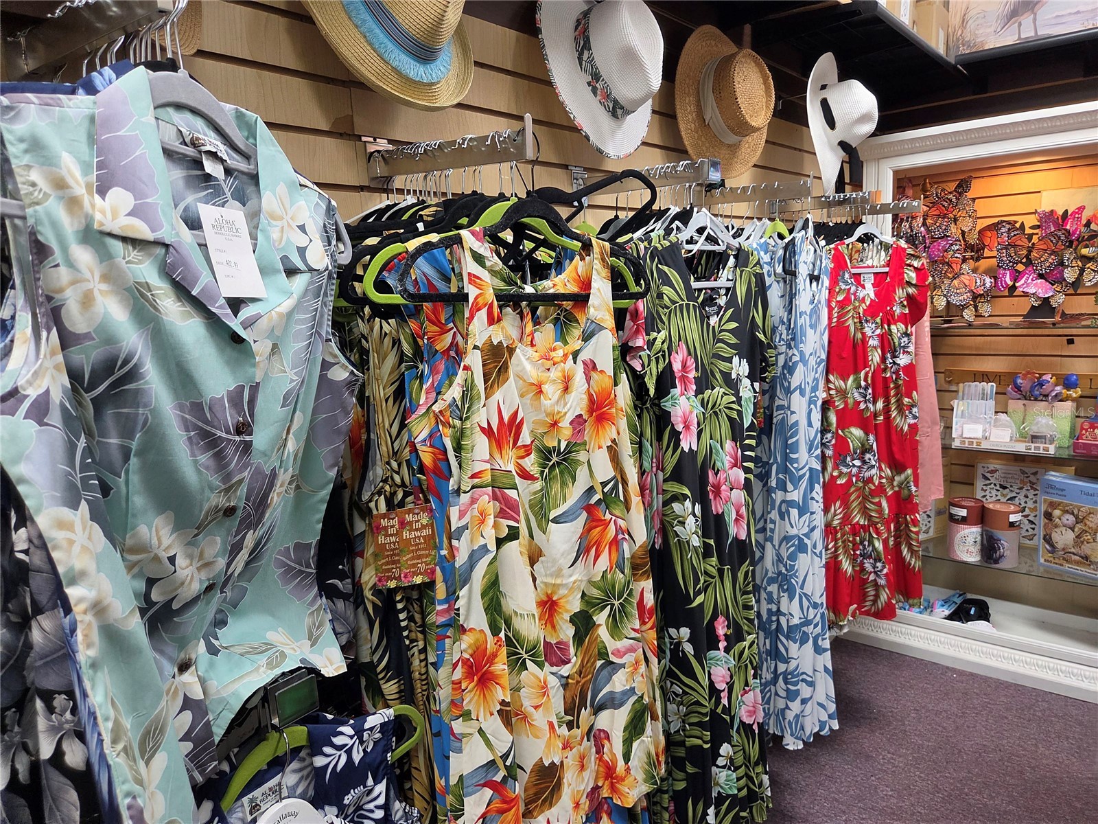 317 N Donnelly Mount Dora FL 32757 O6414493 image36