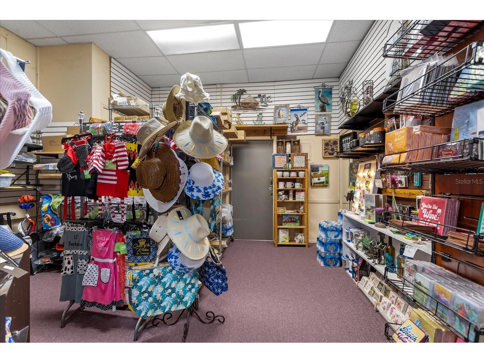 317 N Donnelly Mount Dora FL 32757 O6414493 image4